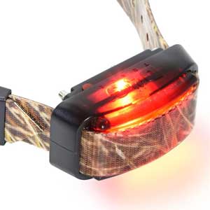 D-control Professional