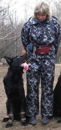Фред из Артли