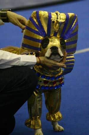 ������� 2008