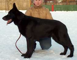 Фото ждем...
