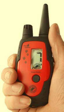 электроошейник для собак