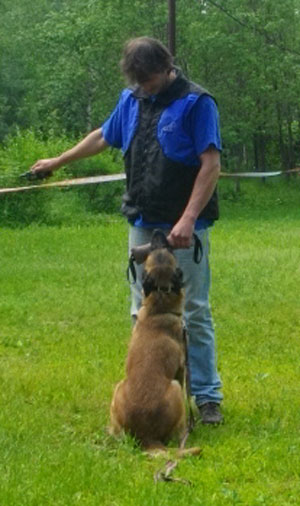 Электроошейник Dogtrace