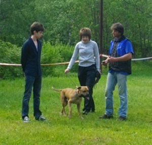 Электроошейник Dogtrace