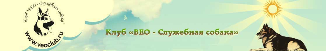www.veoclub.ru