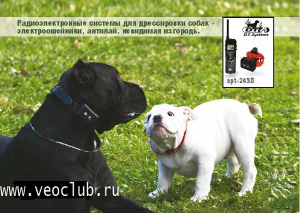 http://www.veoclub.ru/400.files/EO600_rh.jpg
